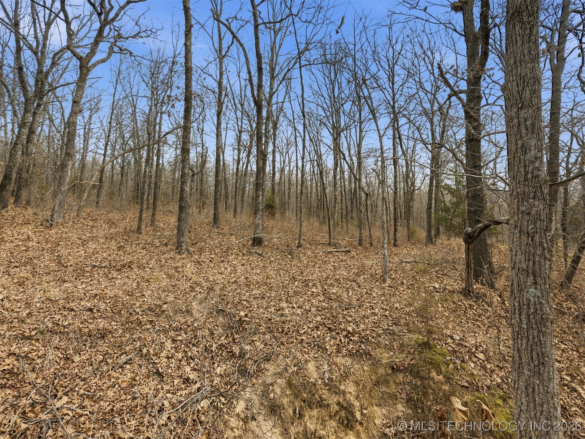 4 N 364 Road Property Photo 41