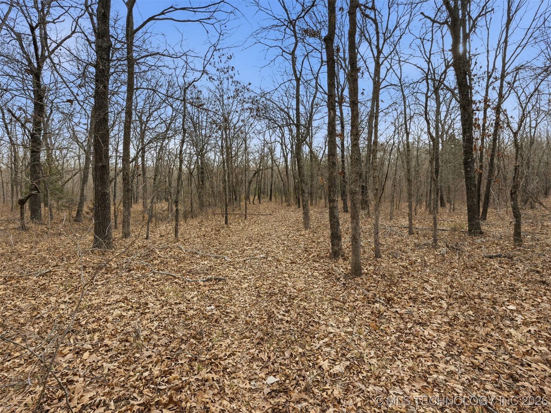 4 N 364 Road Property Photo 42