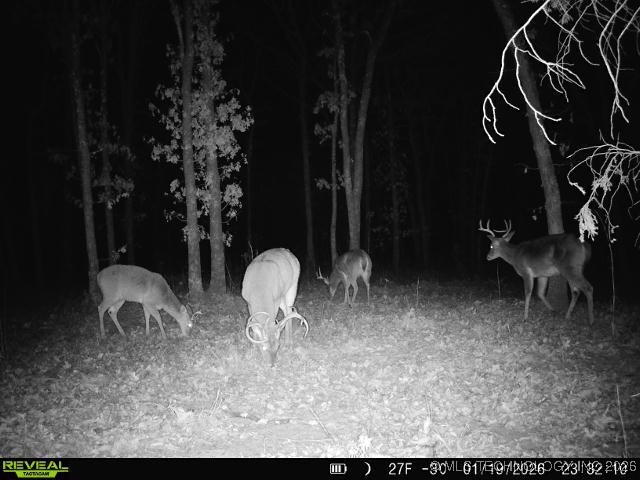 4 N 364 Road Property Photo 43