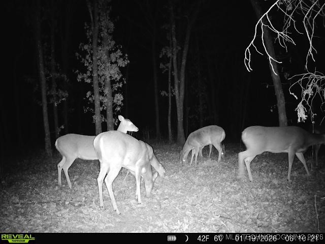 4 N 364 Road Property Photo 44