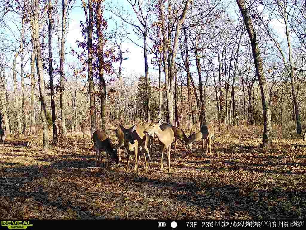 4 N 364 Road Property Photo 45