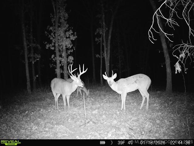 4 N 364 Road Property Photo 47