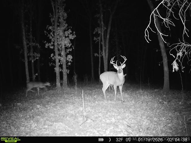 4 N 364 Road Property Photo 48