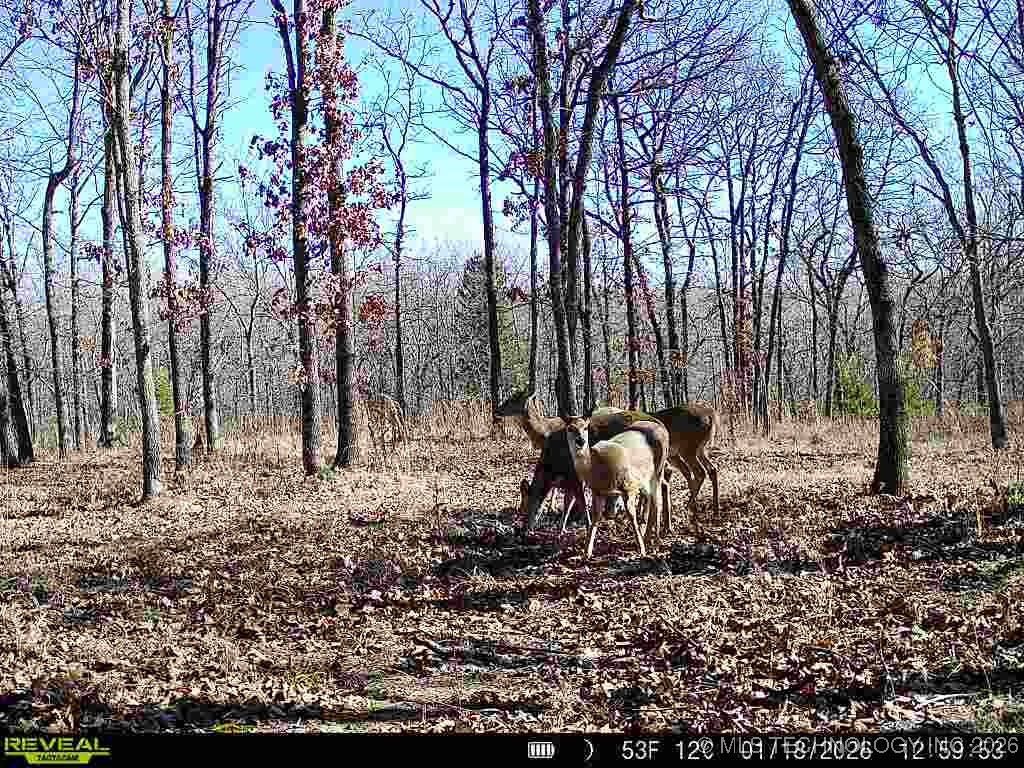 4 N 364 Road Property Photo 49