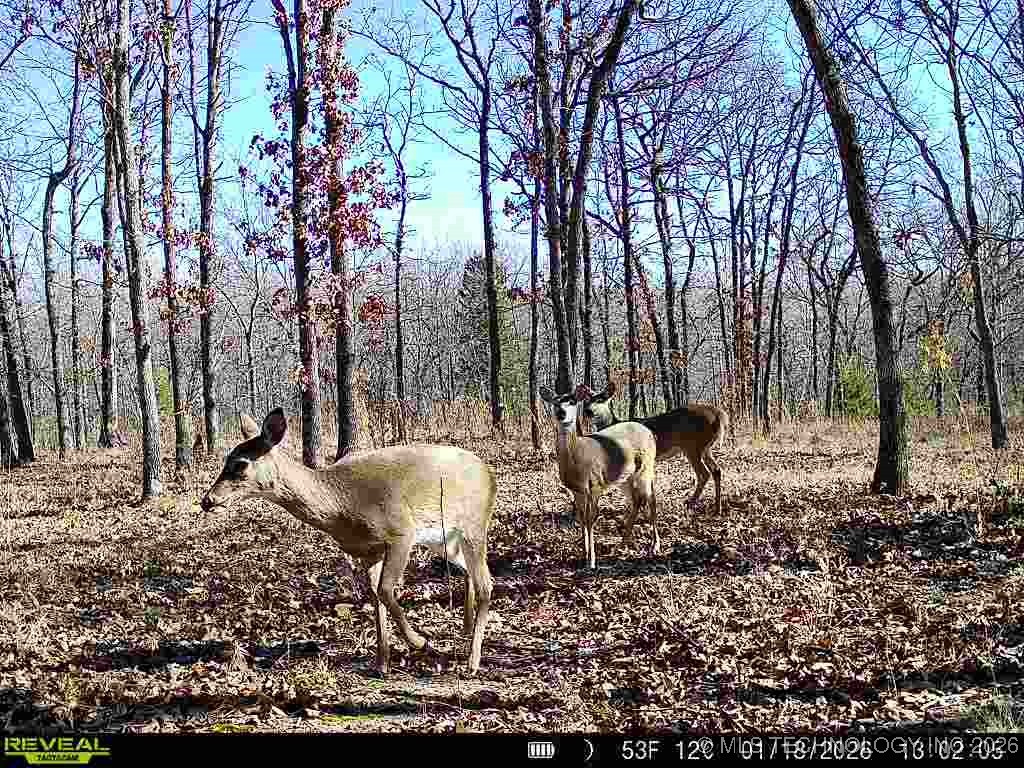 4 N 364 Road Property Photo 50