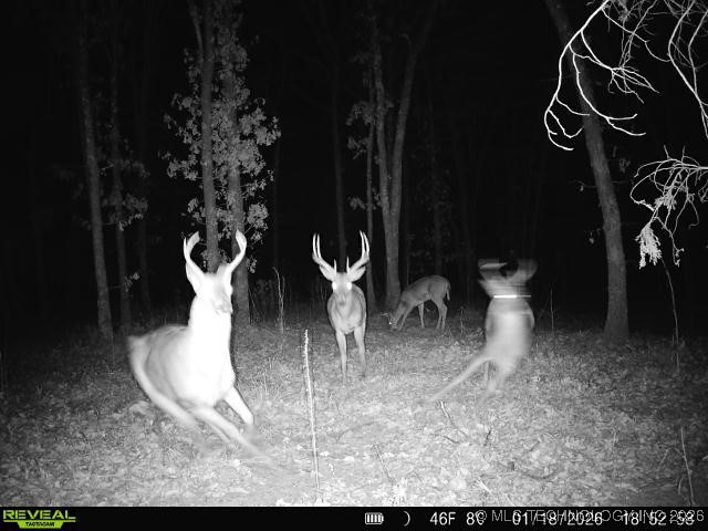 4 N 364 Road Property Photo 51