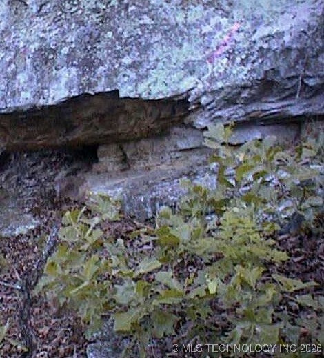 4055 Road Property Photo 3