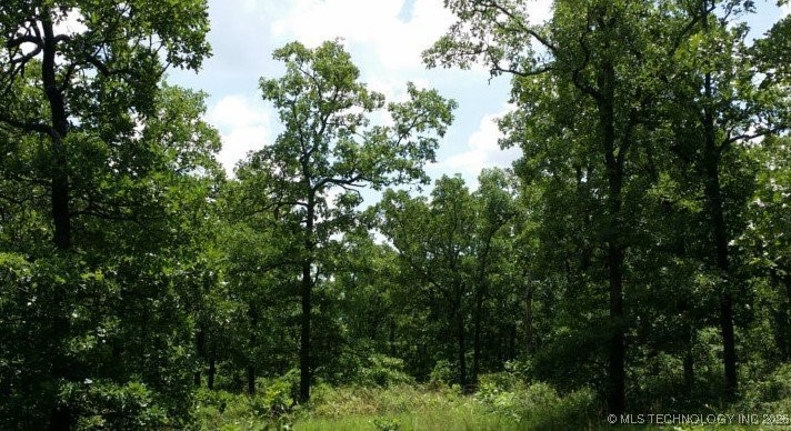 4055 Road Property Photo 4