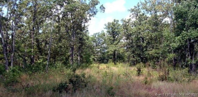 4055 Road Property Photo 5