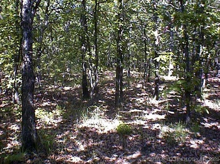 4055 Road Property Photo 10