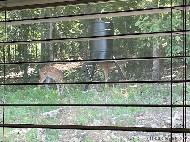 58 Seminole Trail Property Photo 53