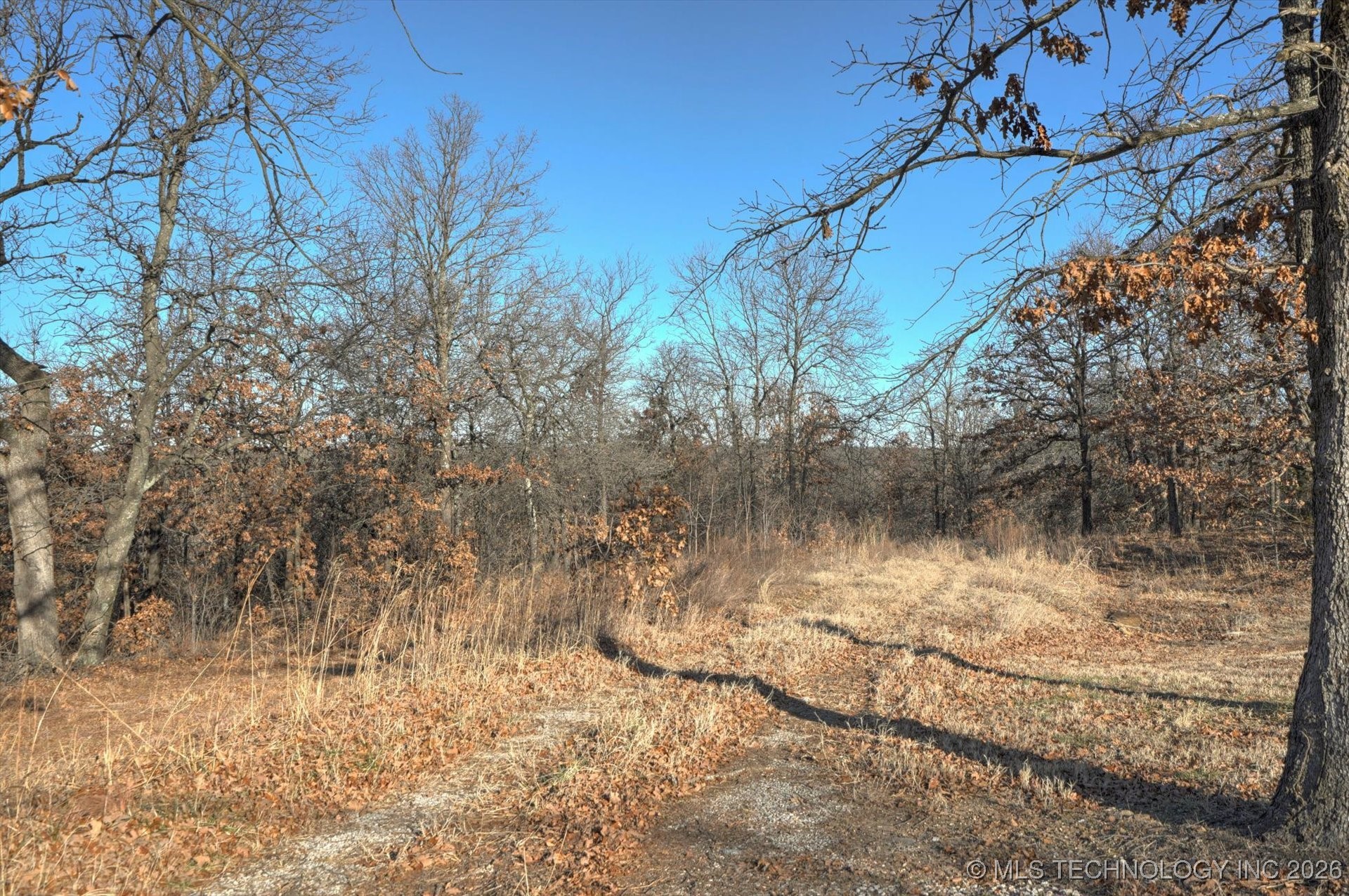 12964 Bear Paw Path Property Photo 2