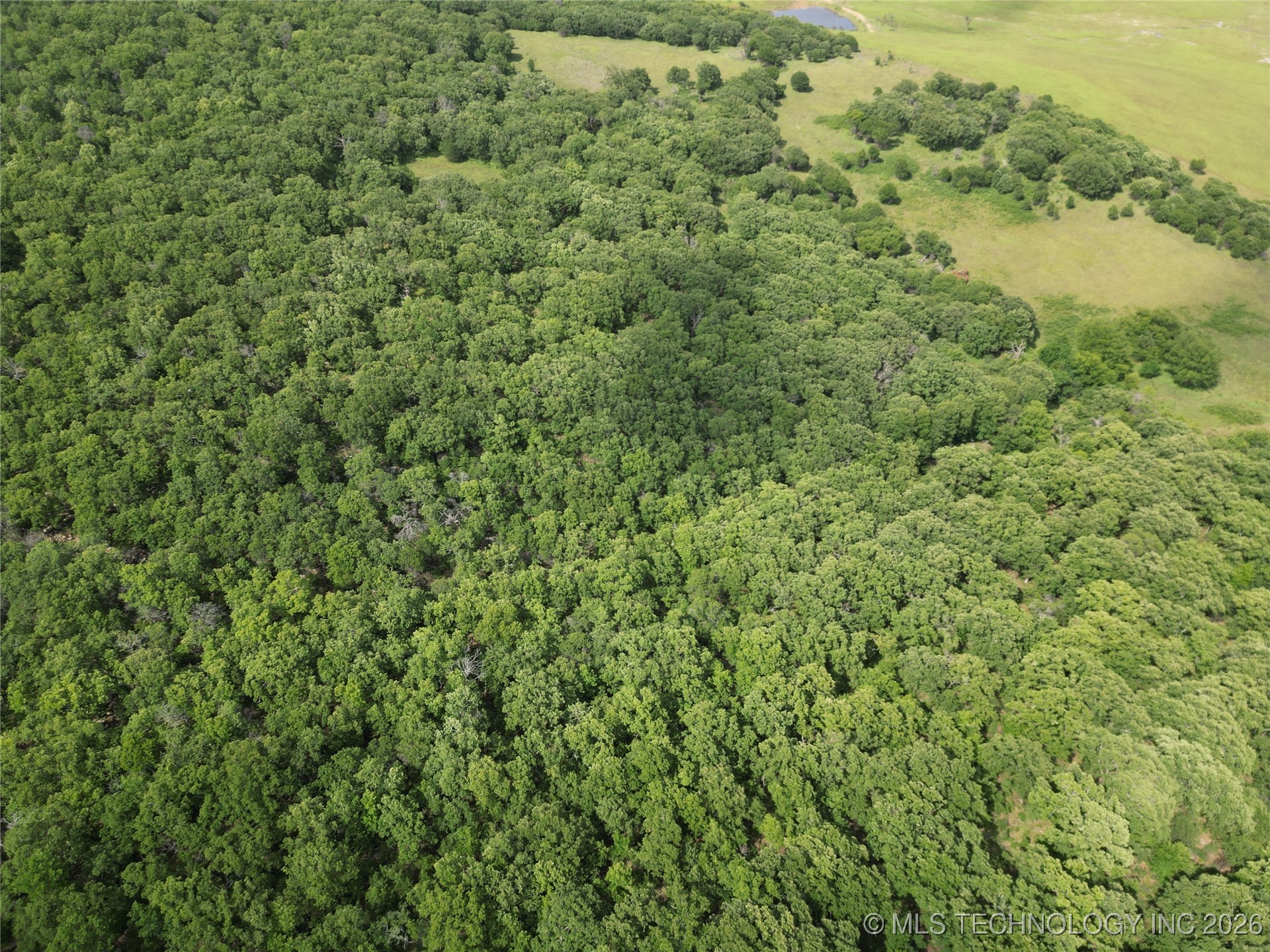 0008 County Road 2145 Property Photo 16