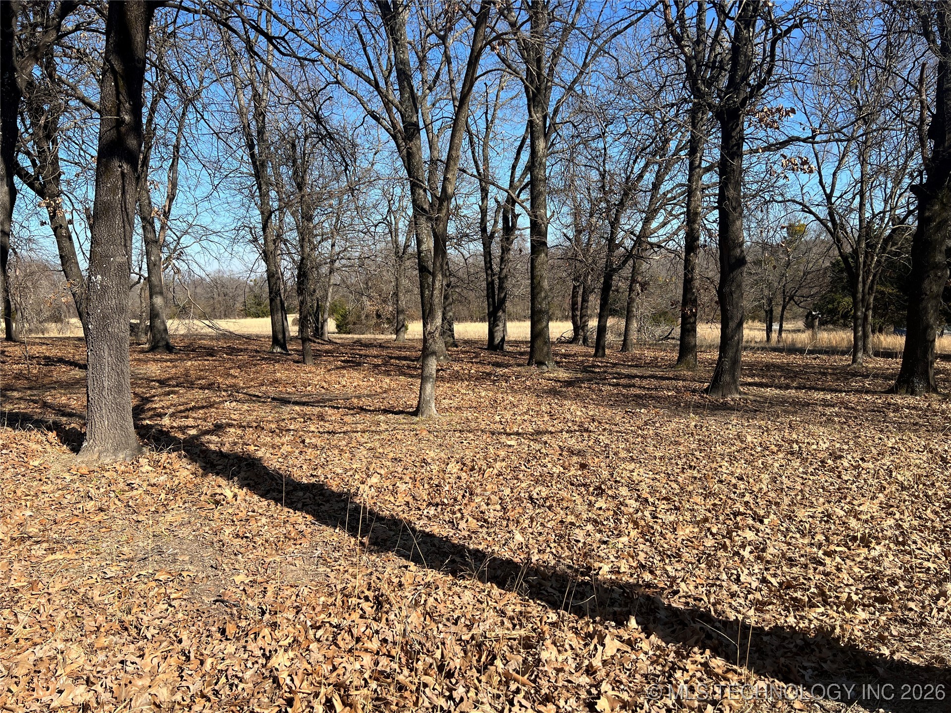 4189 Road Property Photo 8