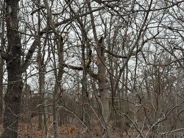 S Maple Drive Property Photo 3