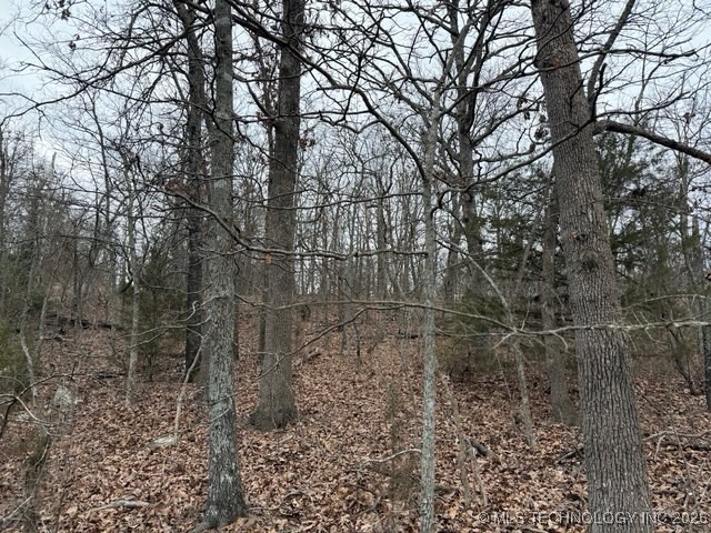 S Maple Drive Property Photo 4