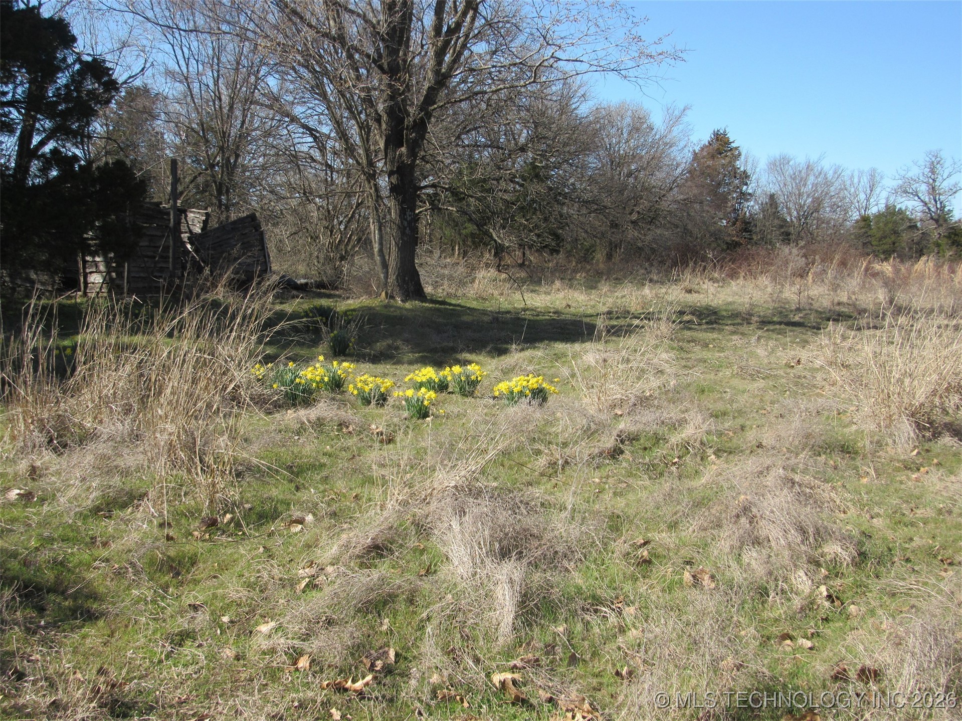 Cabiness Property Photo 2