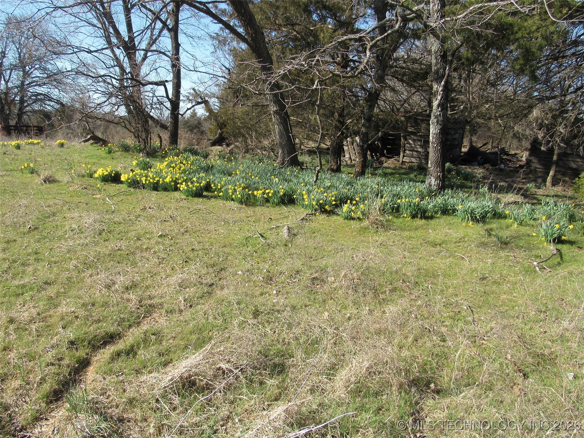 Cabiness Property Photo 3