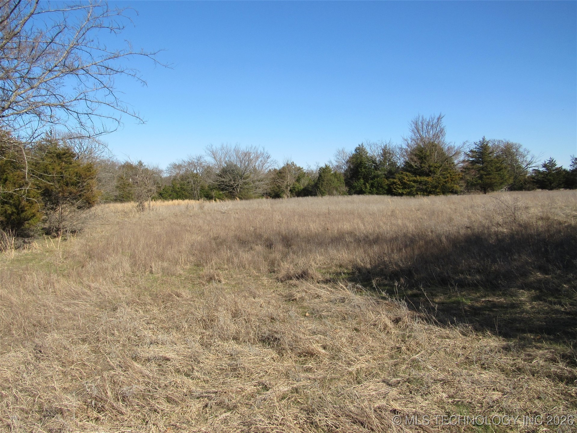 Cabiness Property Photo 4