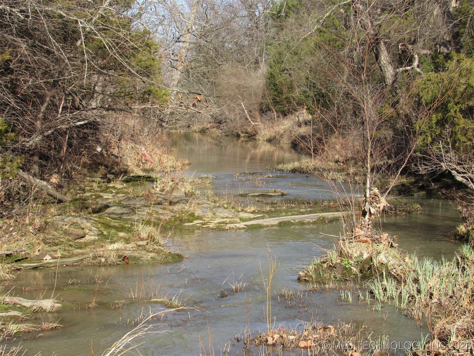 Cabiness Property Photo 5