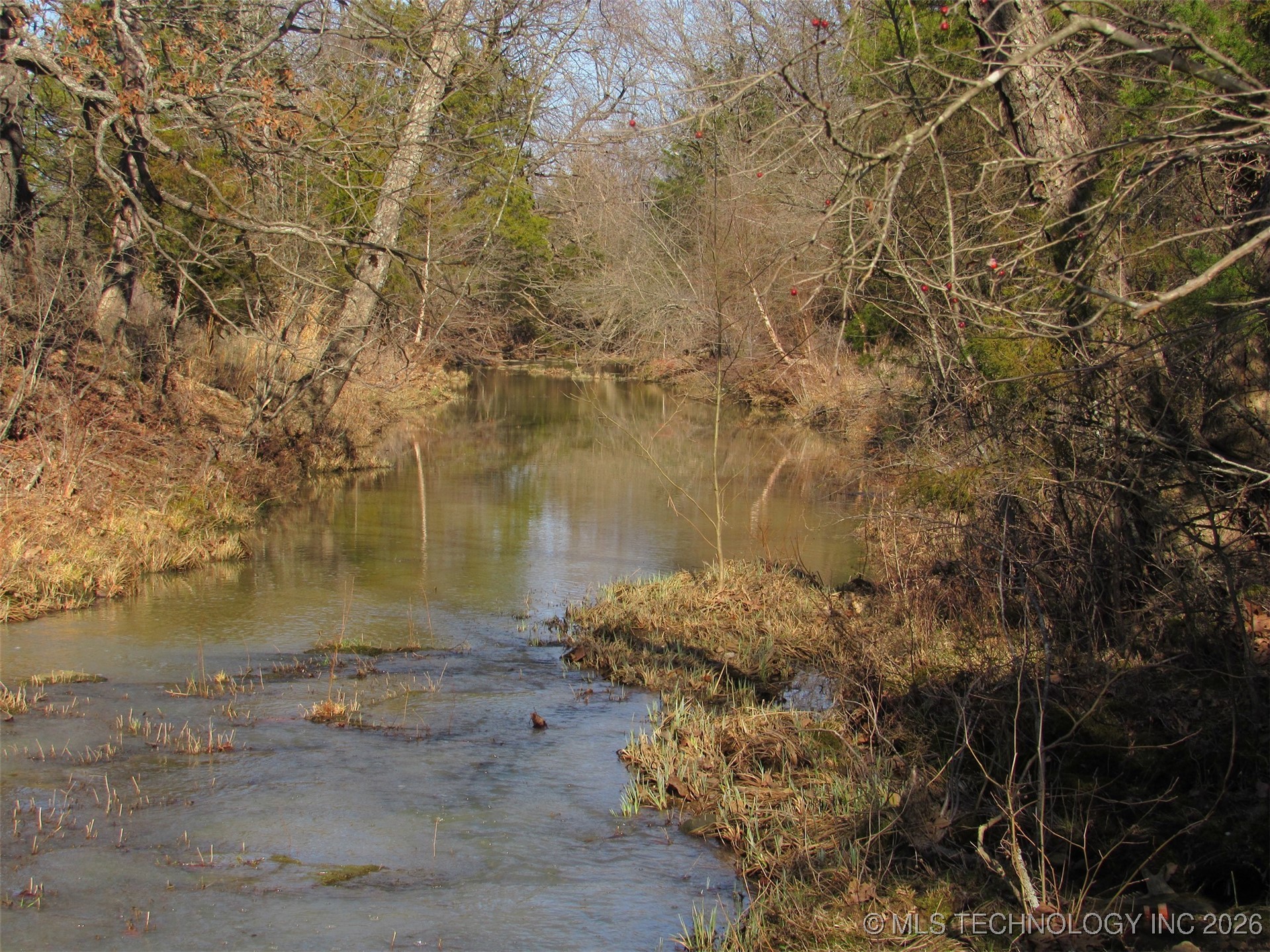 Cabiness Property Photo 6