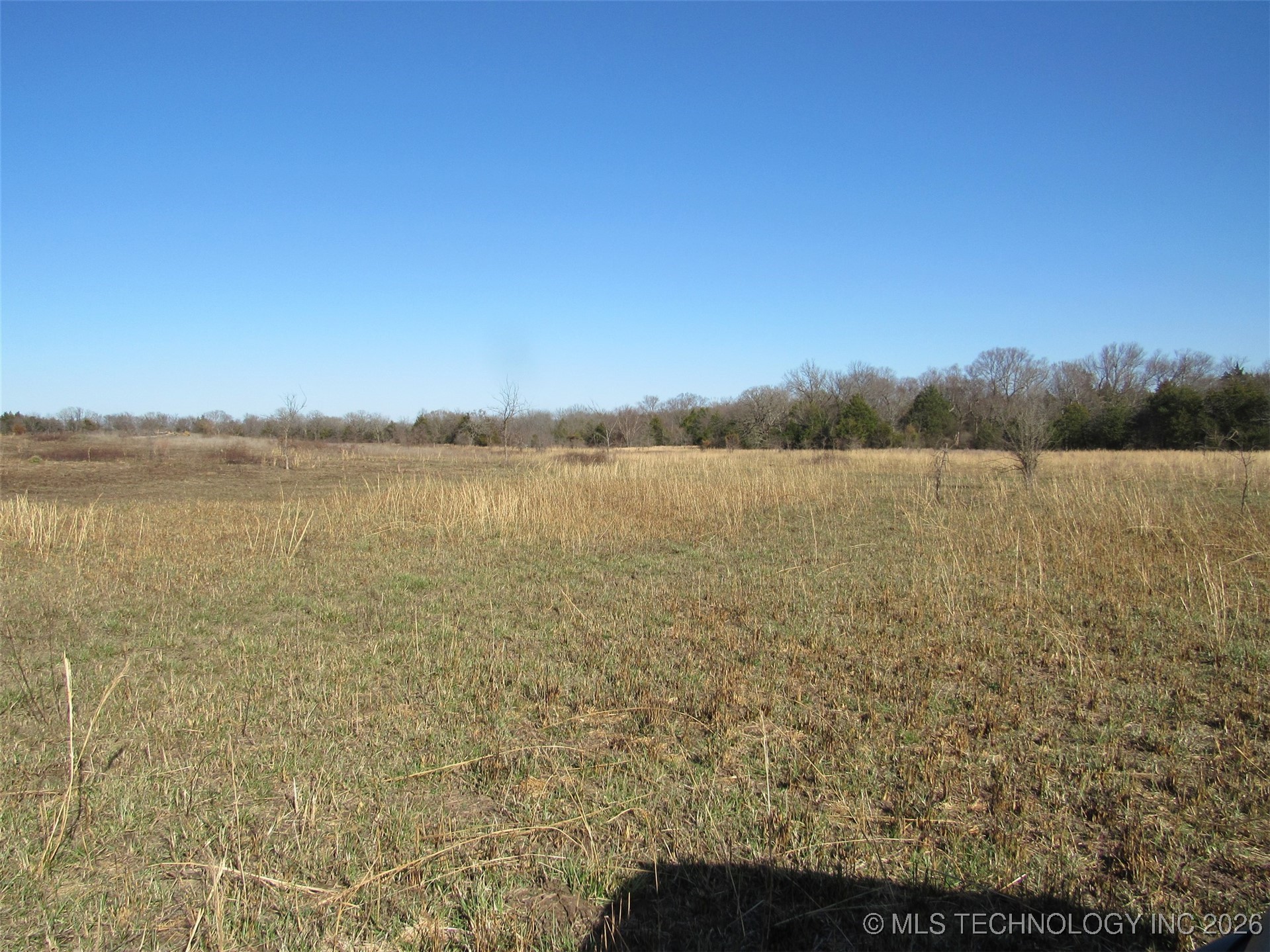 Cabiness Property Photo 7