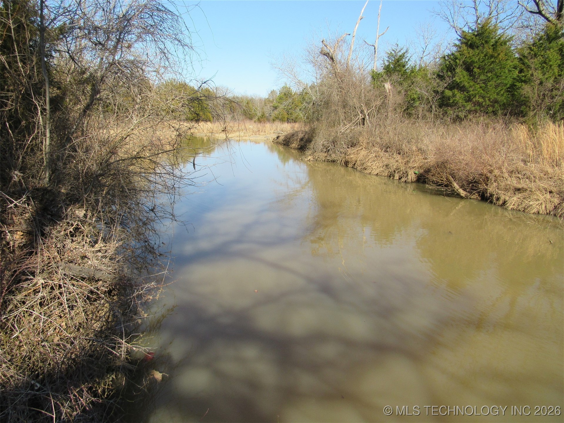 Cabiness Property Photo 9