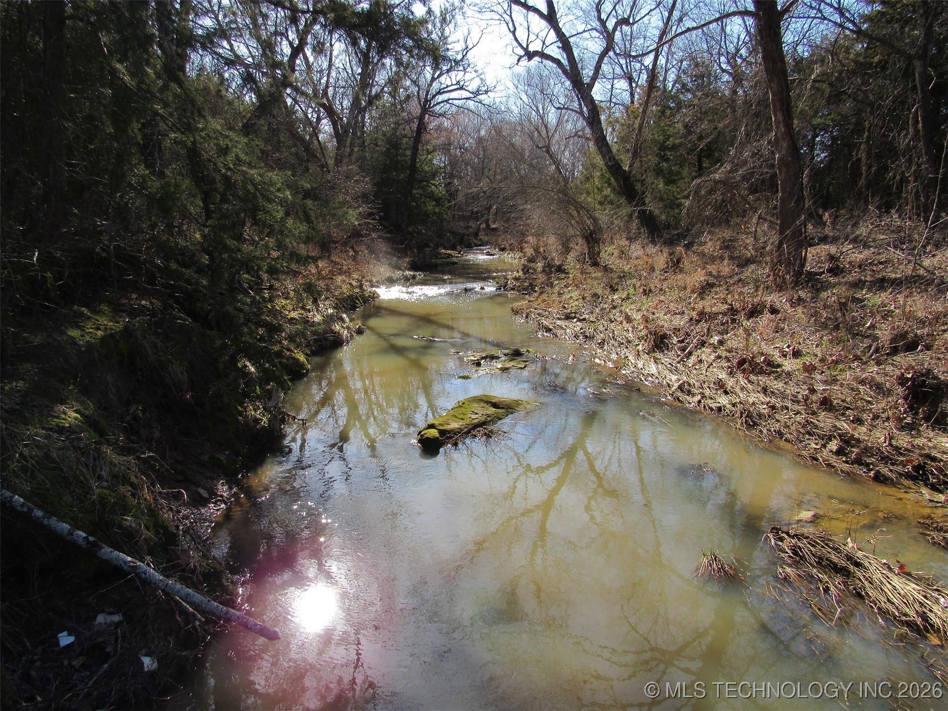 Cabiness Property Photo 12