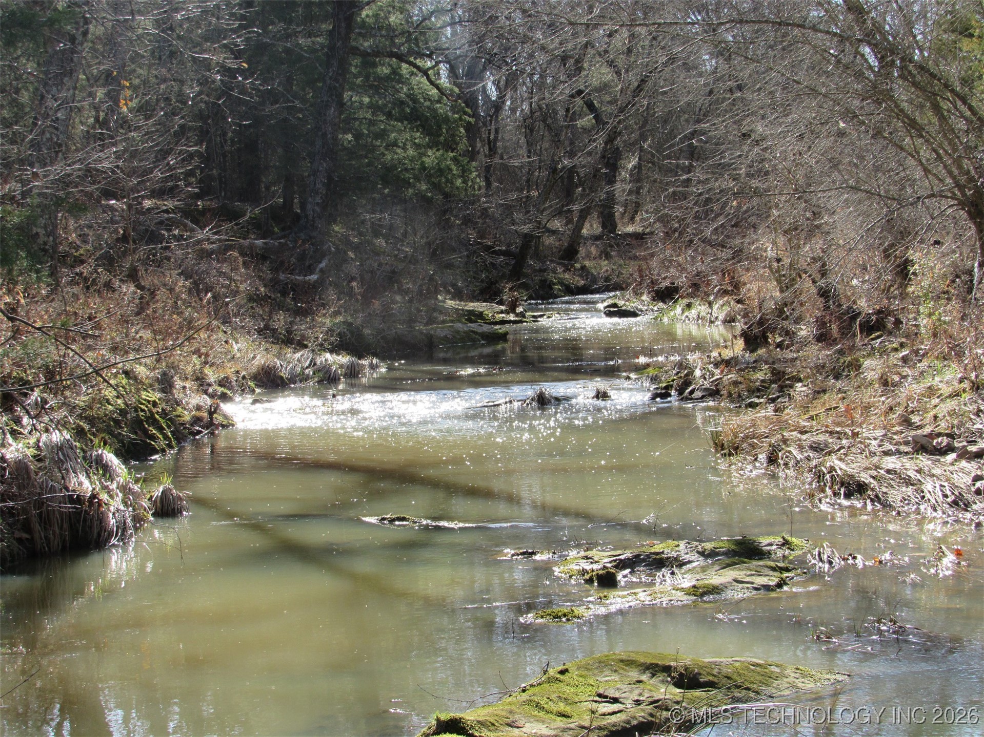 Cabiness Property Photo 13