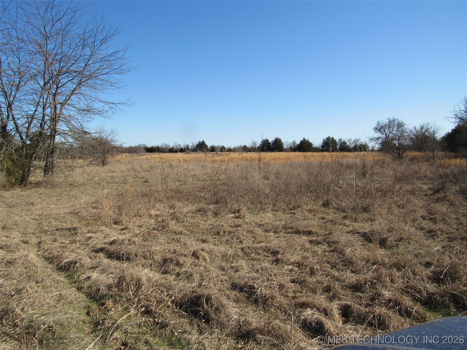 Cabiness Property Photo 15