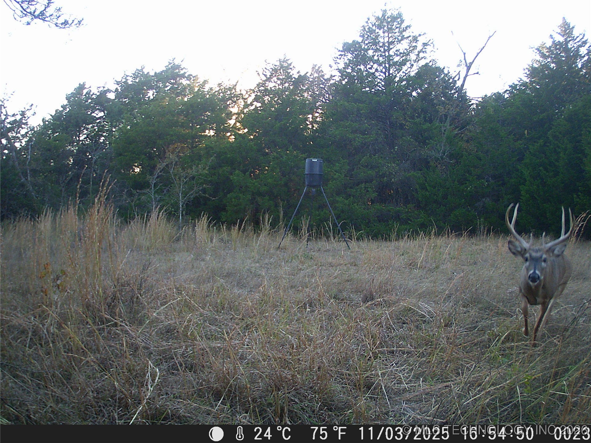 Cabiness Property Photo 16