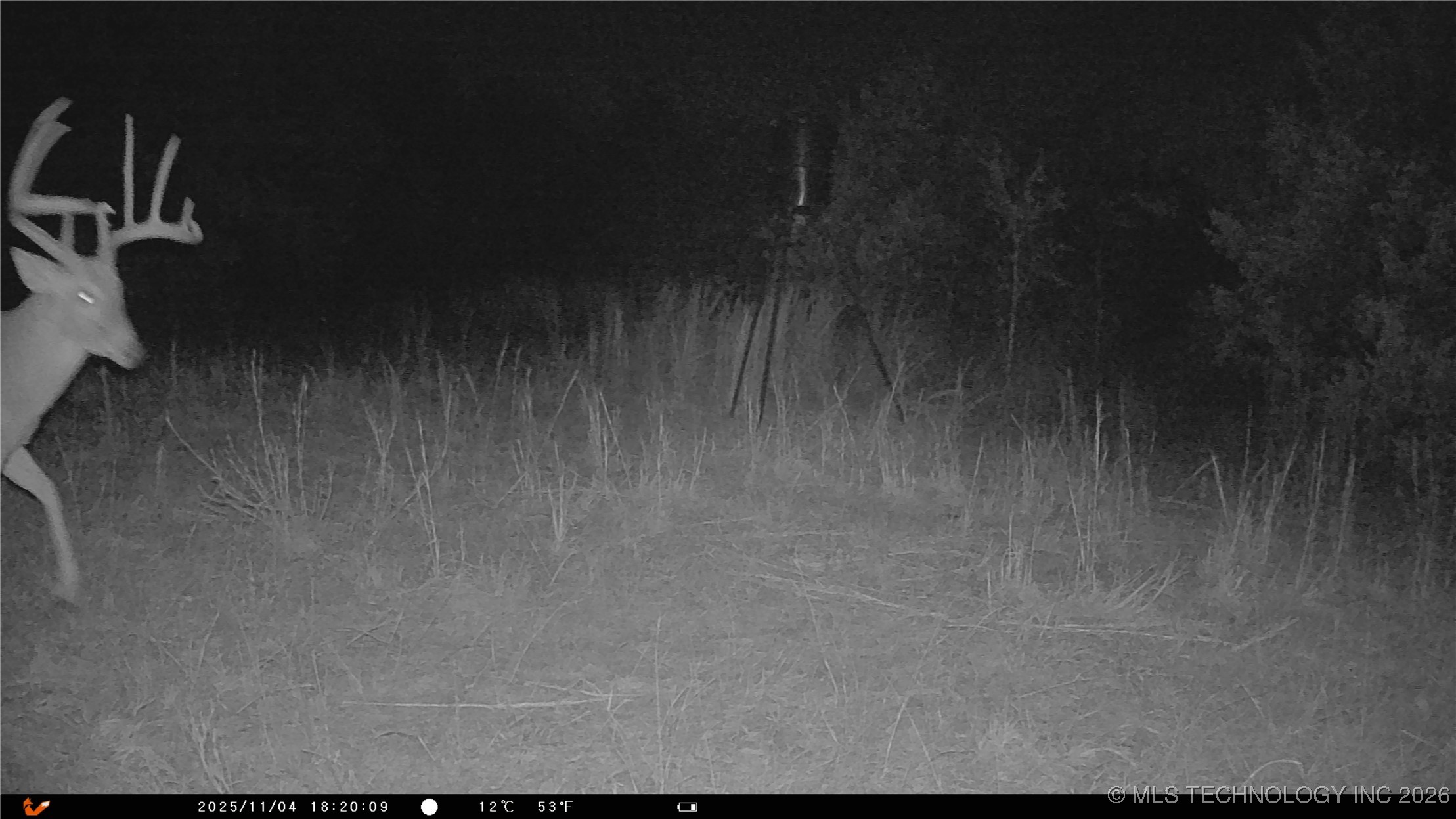 Cabiness Property Photo 18