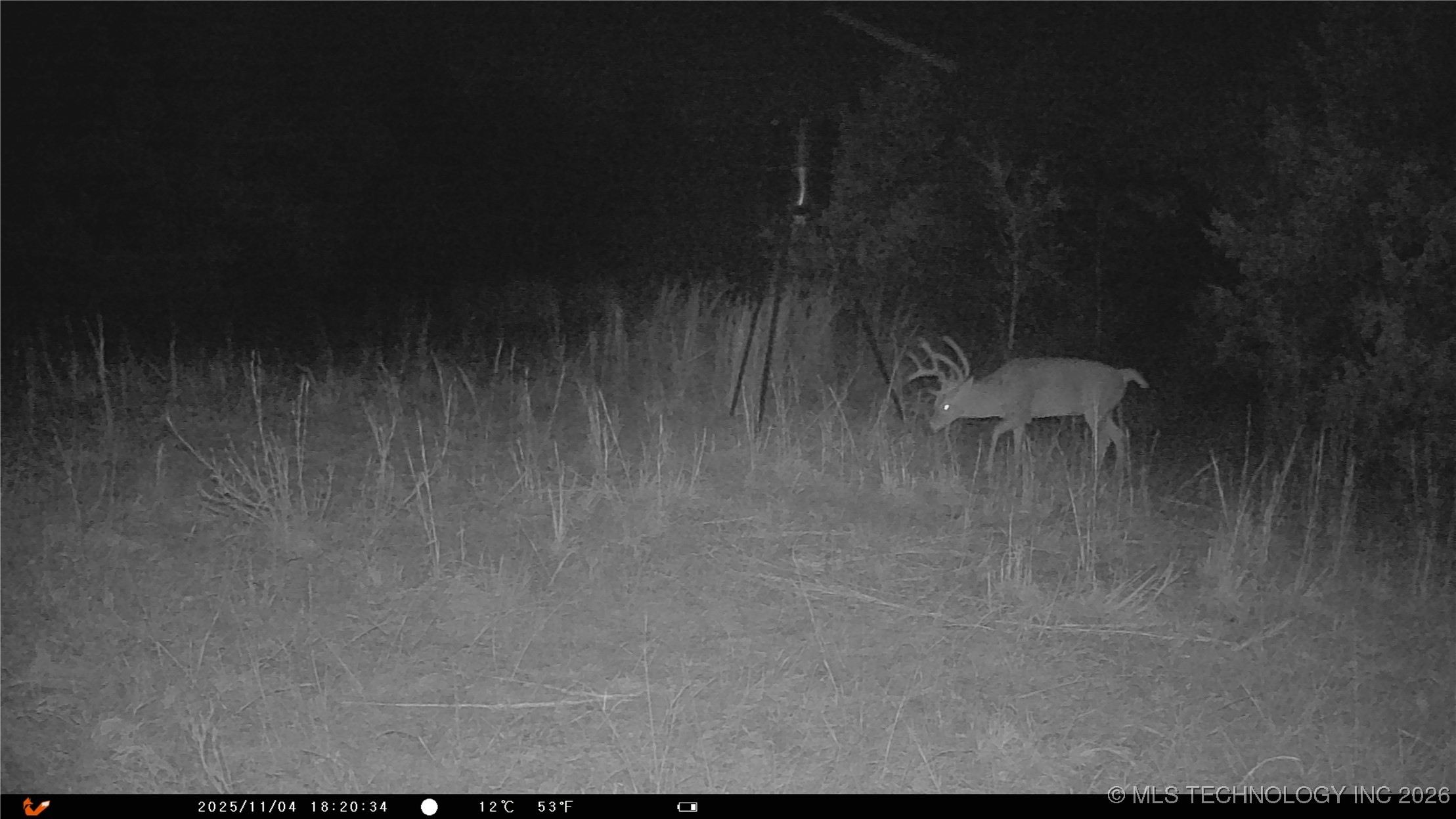 Cabiness Property Photo 19