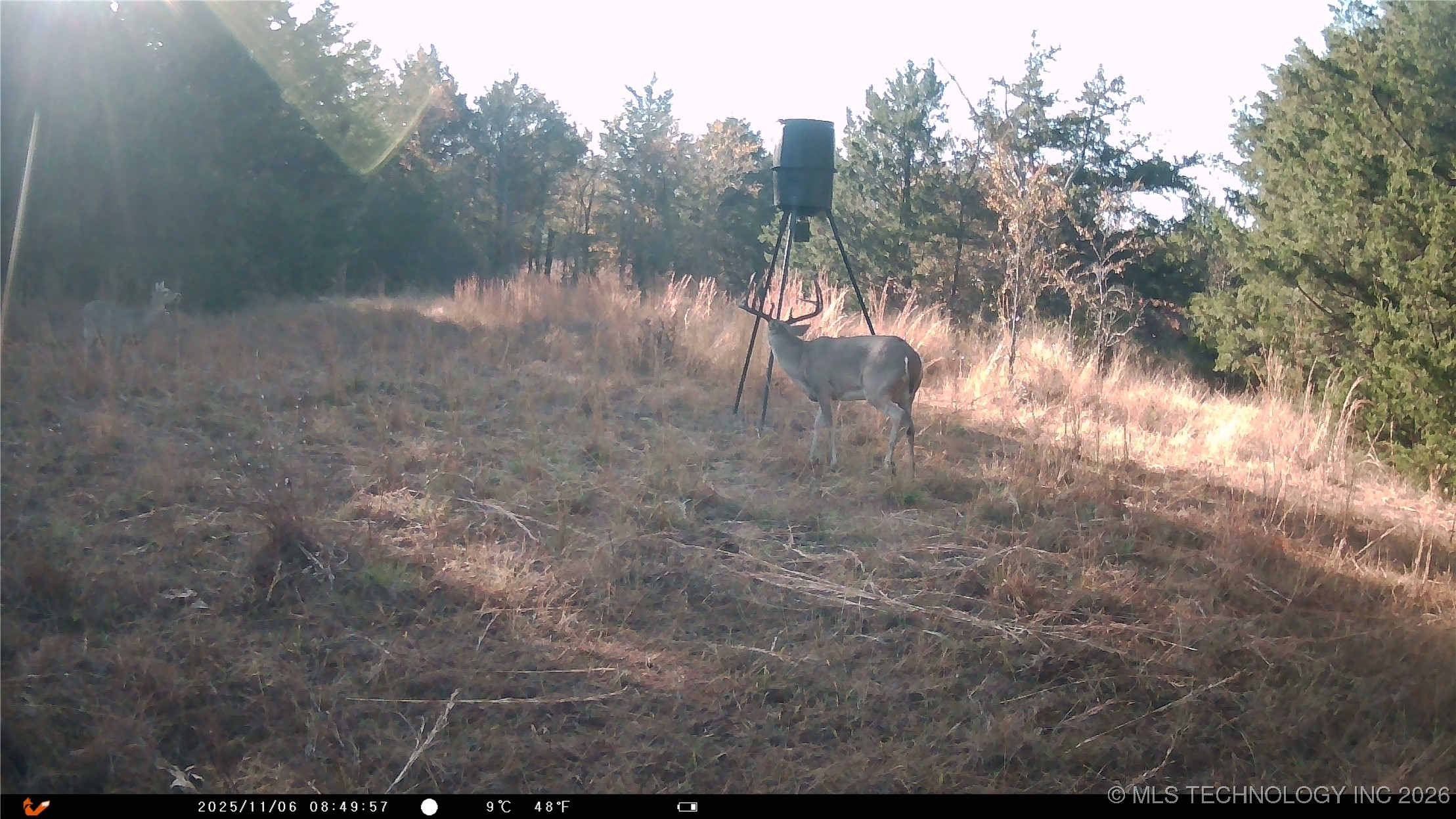 Cabiness Property Photo 20