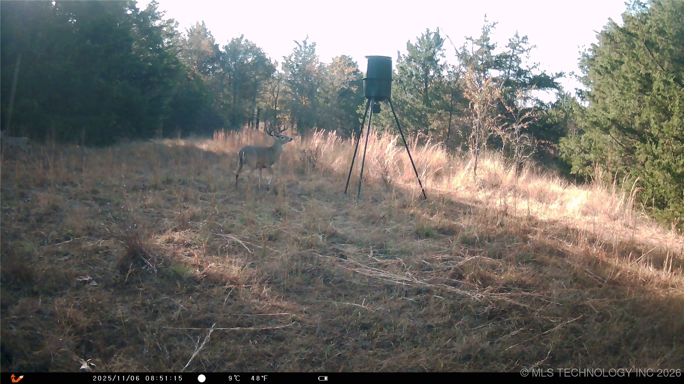 Cabiness Property Photo 21