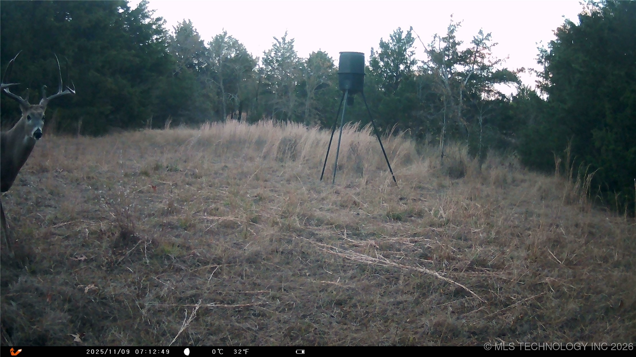 Cabiness Property Photo 24