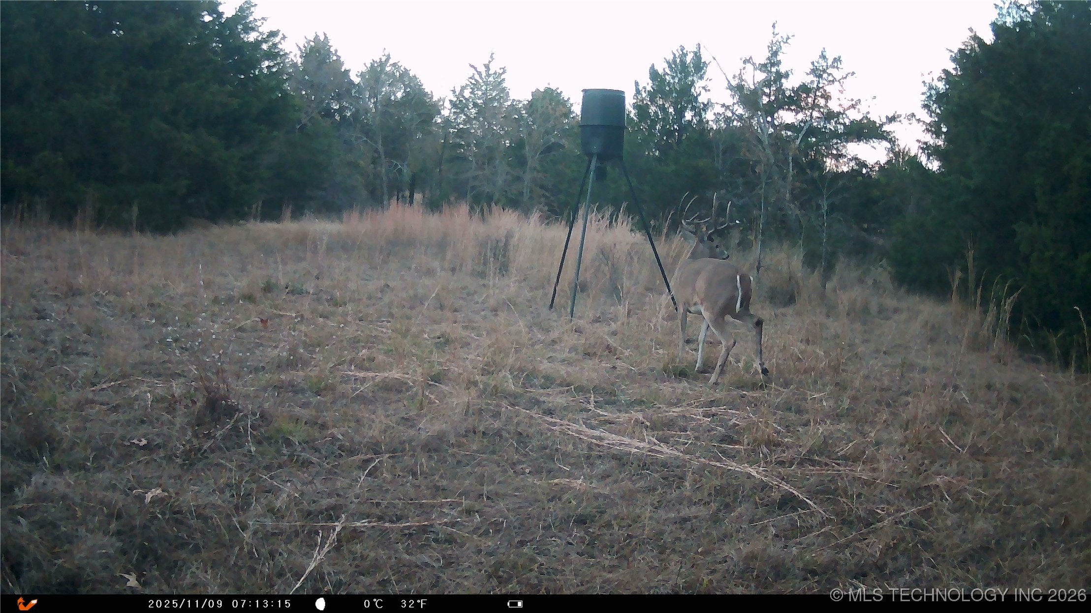 Cabiness Property Photo 25