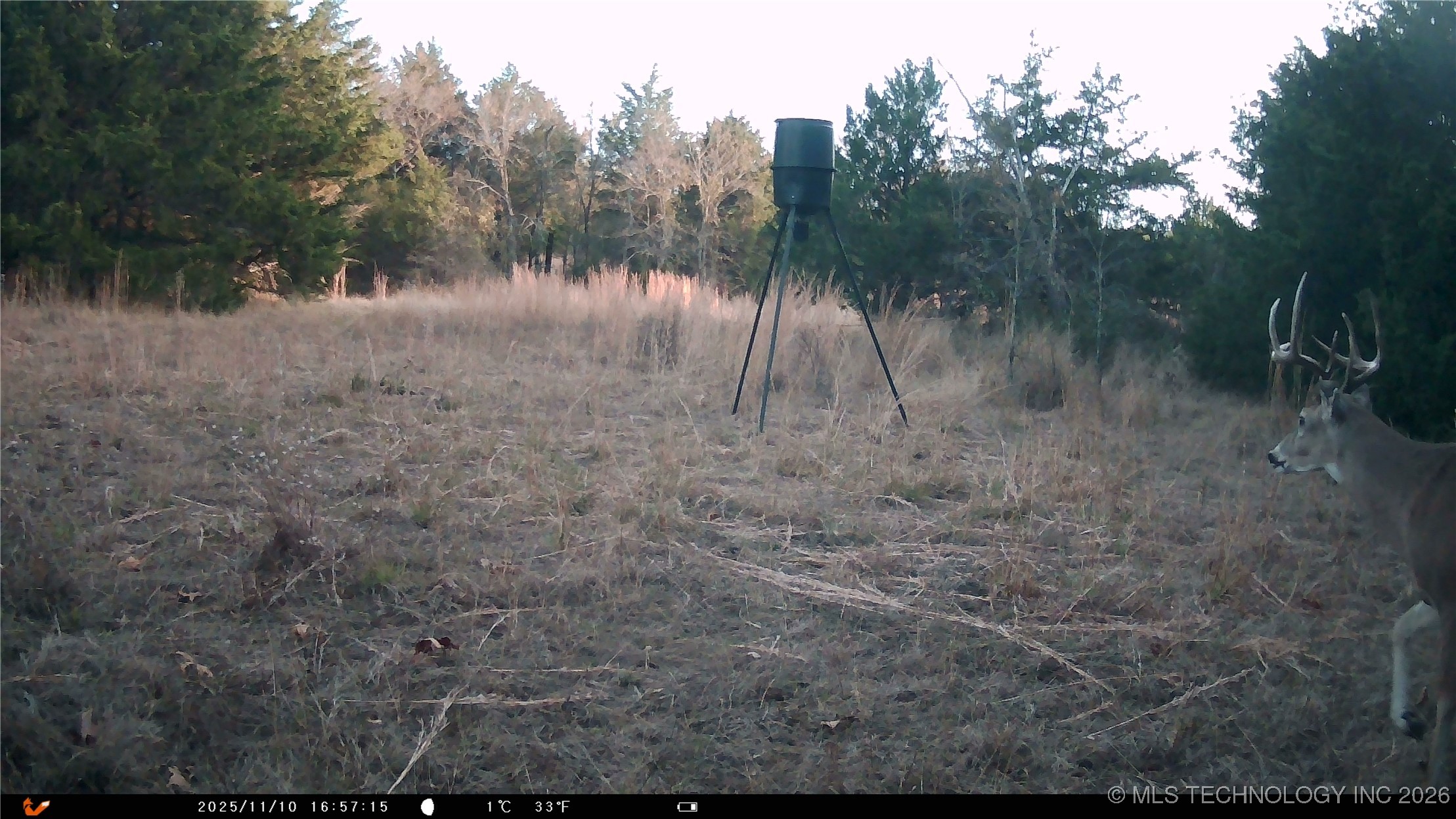 Cabiness Property Photo 26