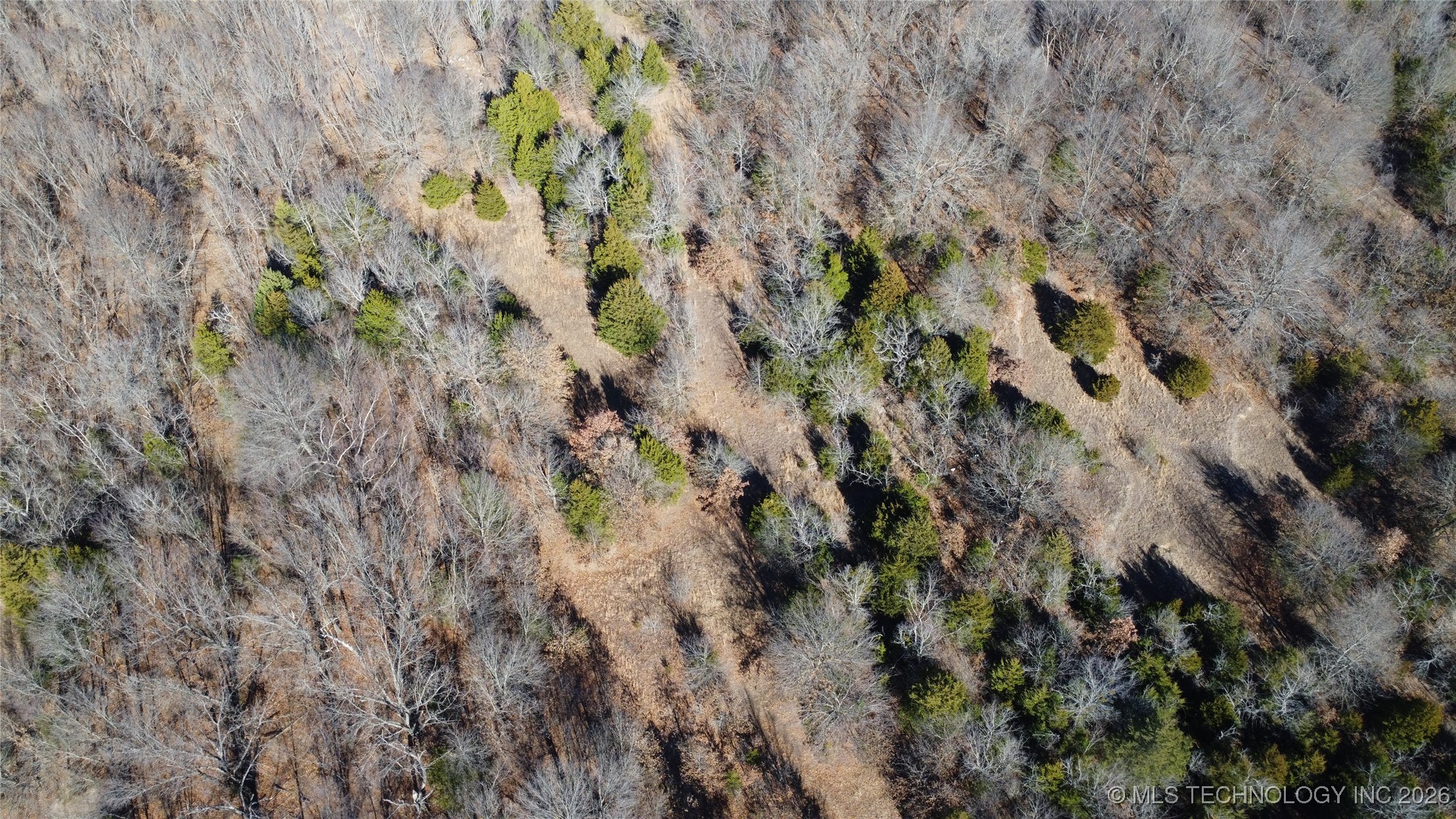 0000 Hwy 150 Property Photo 11