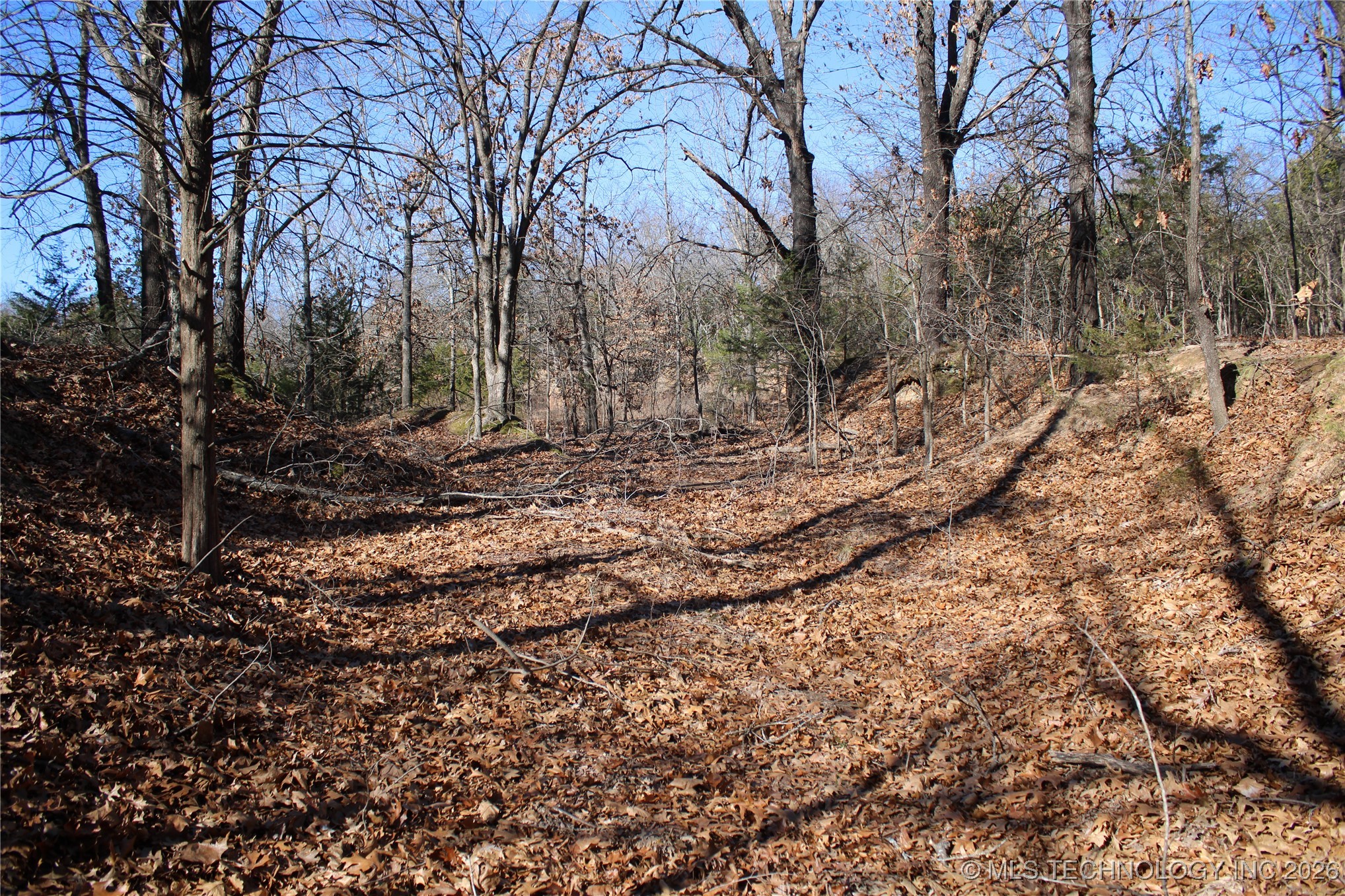 0000 Hwy 150 Property Photo 18