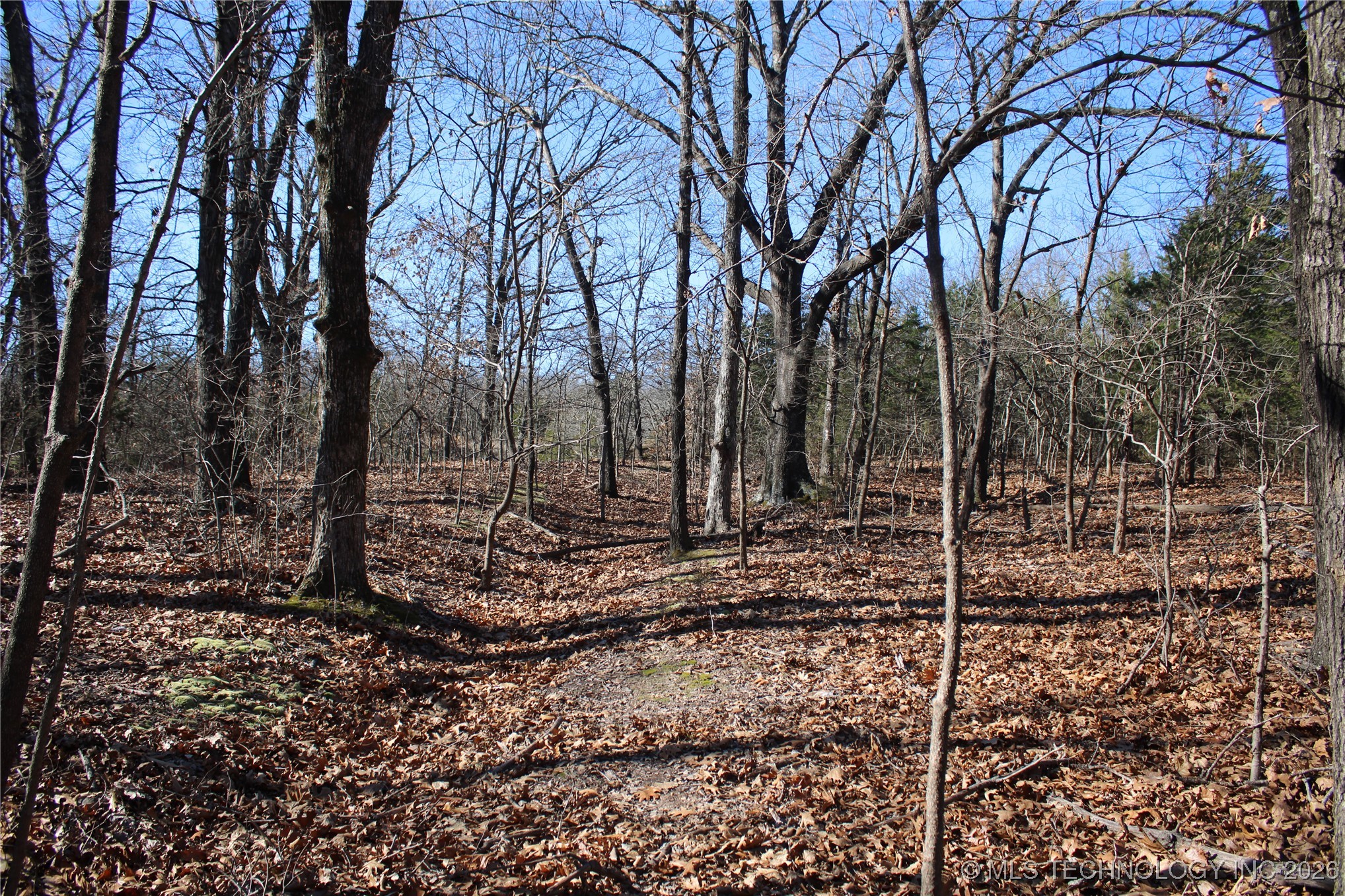 0000 Hwy 150 Property Photo 19