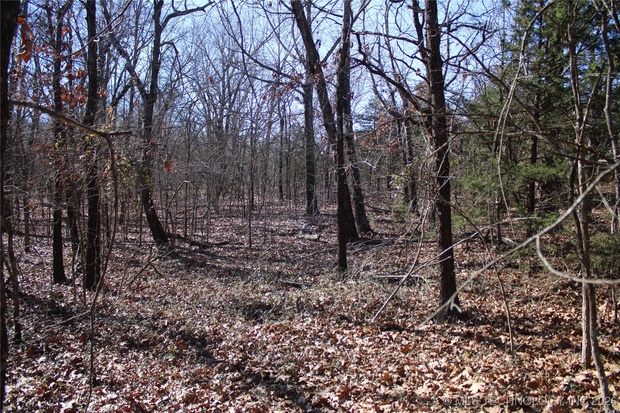 0000 Hwy 150 Property Photo 20