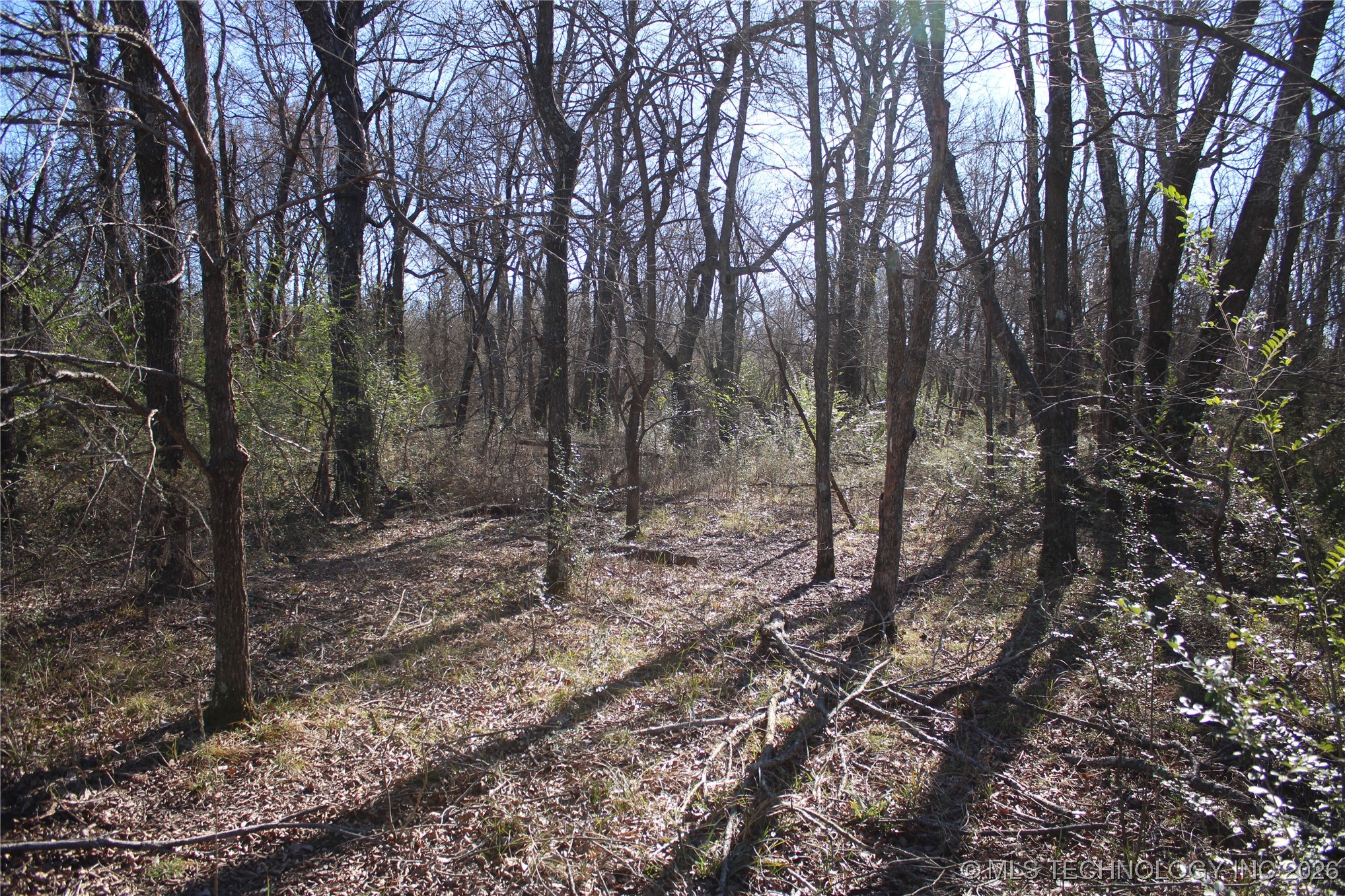 0000 Hwy 150 Property Photo 23