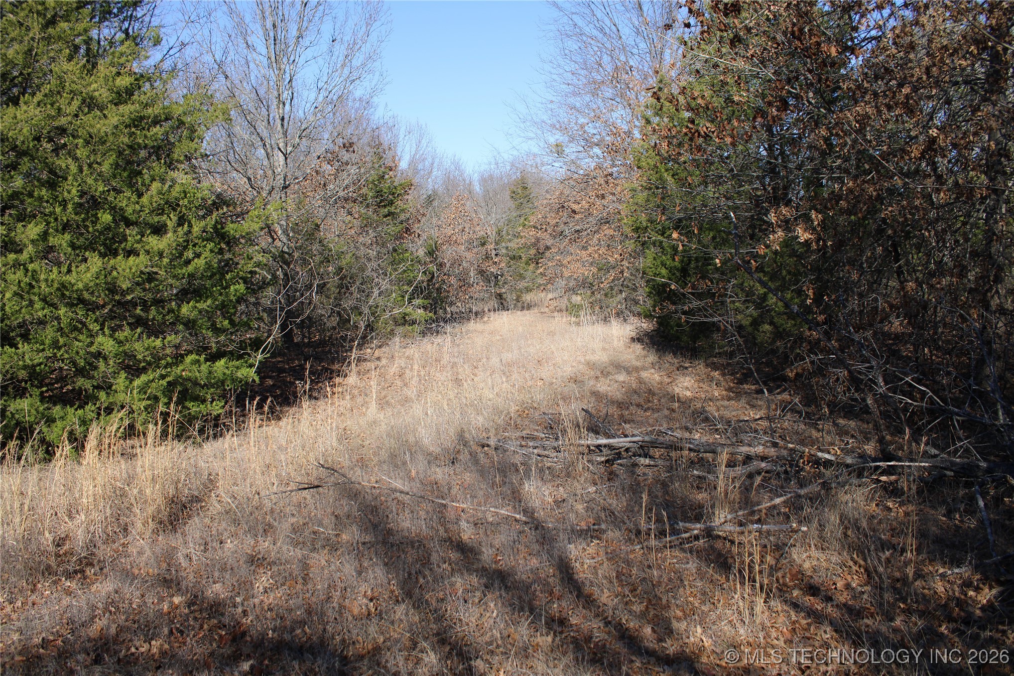 0000 Hwy 150 Property Photo 28