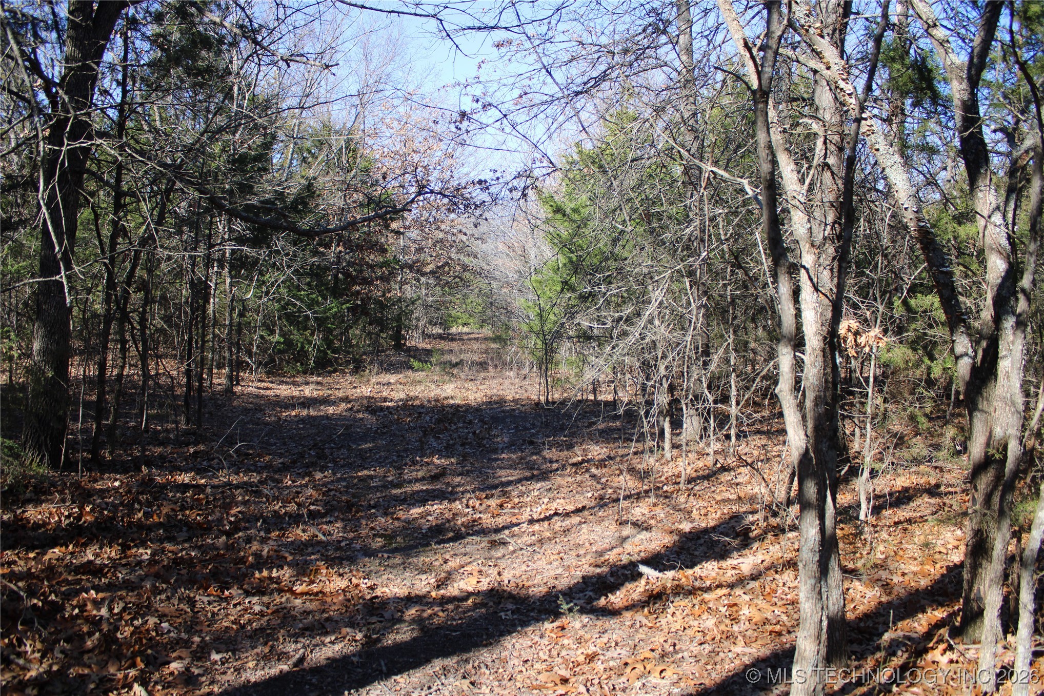 0000 Hwy 150 Property Photo 29