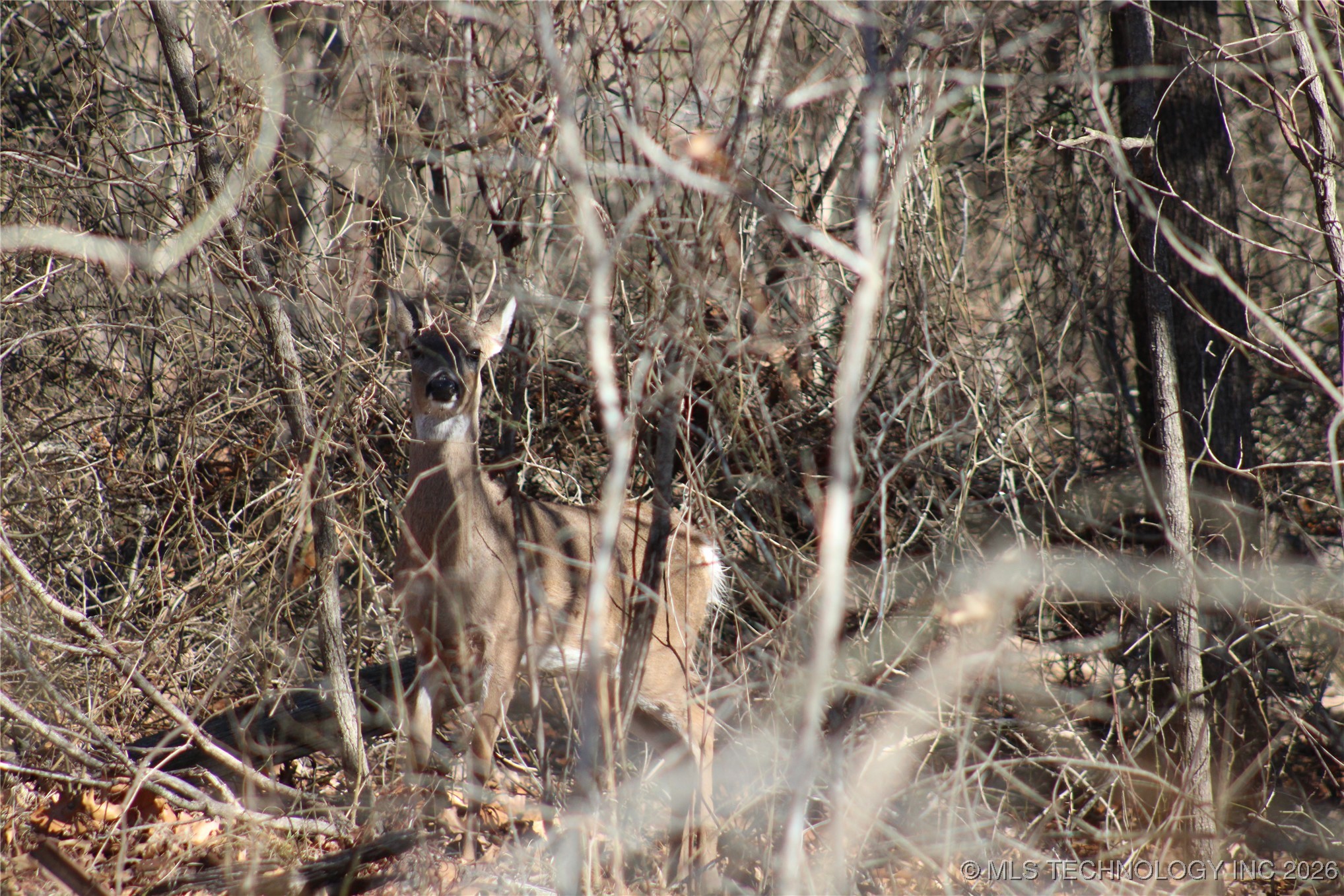 0000 Hwy 150 Property Photo 32
