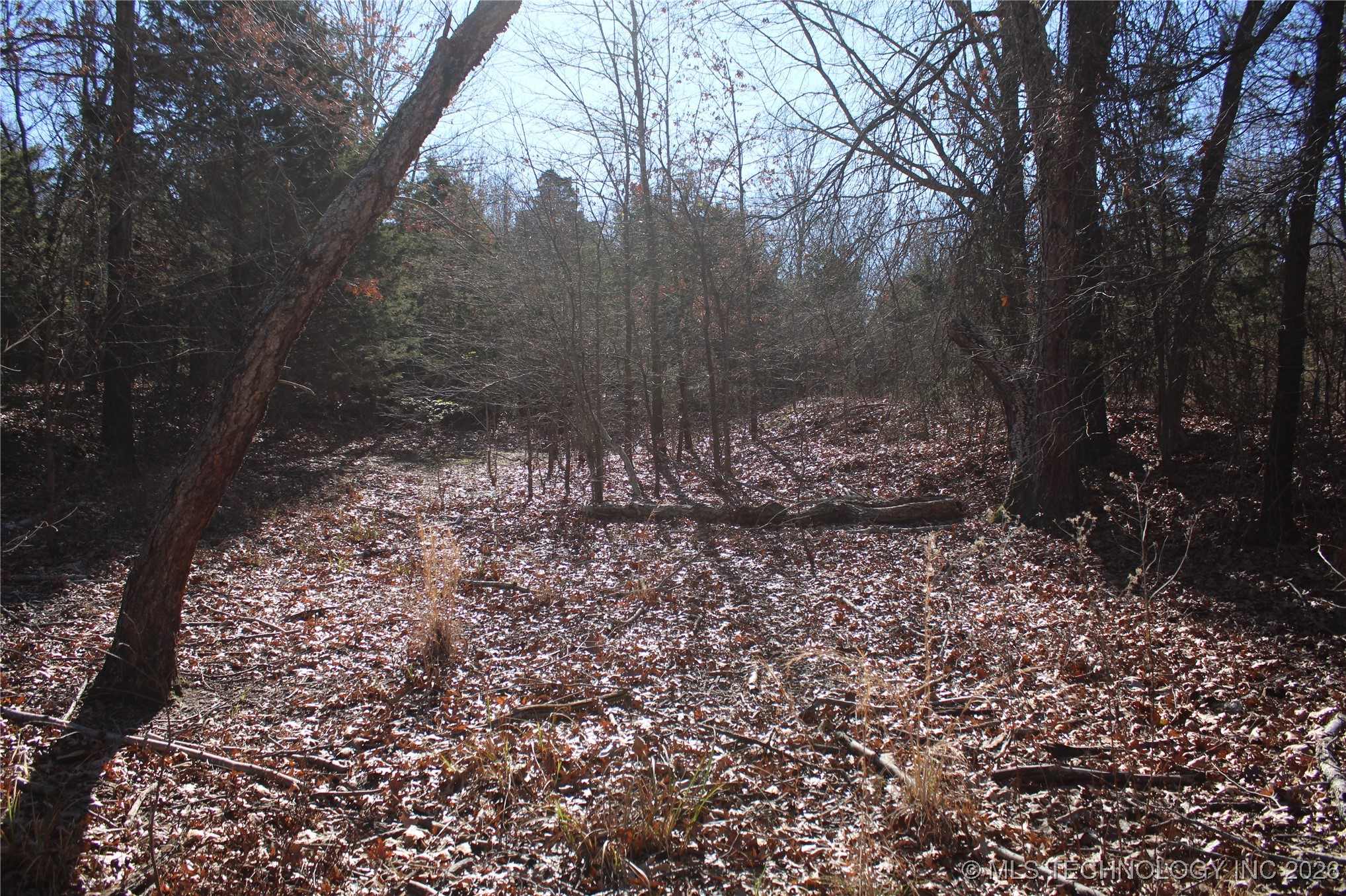 0000 Hwy 150 Property Photo 35