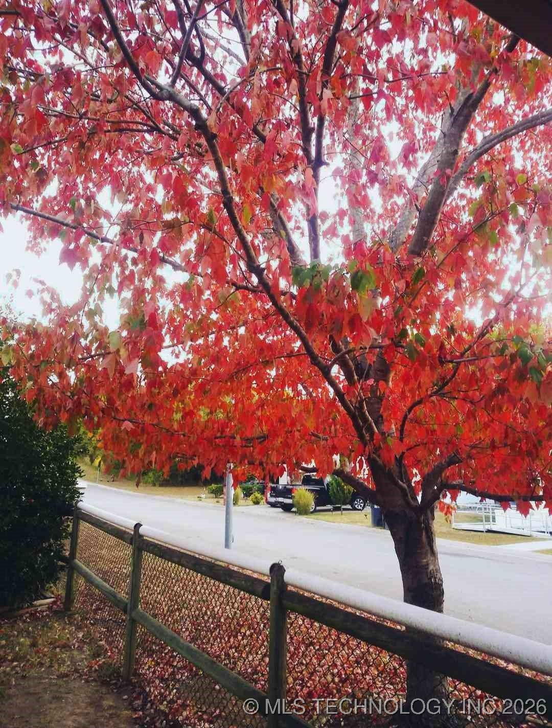 13706 Peabody Drive Property Photo 15