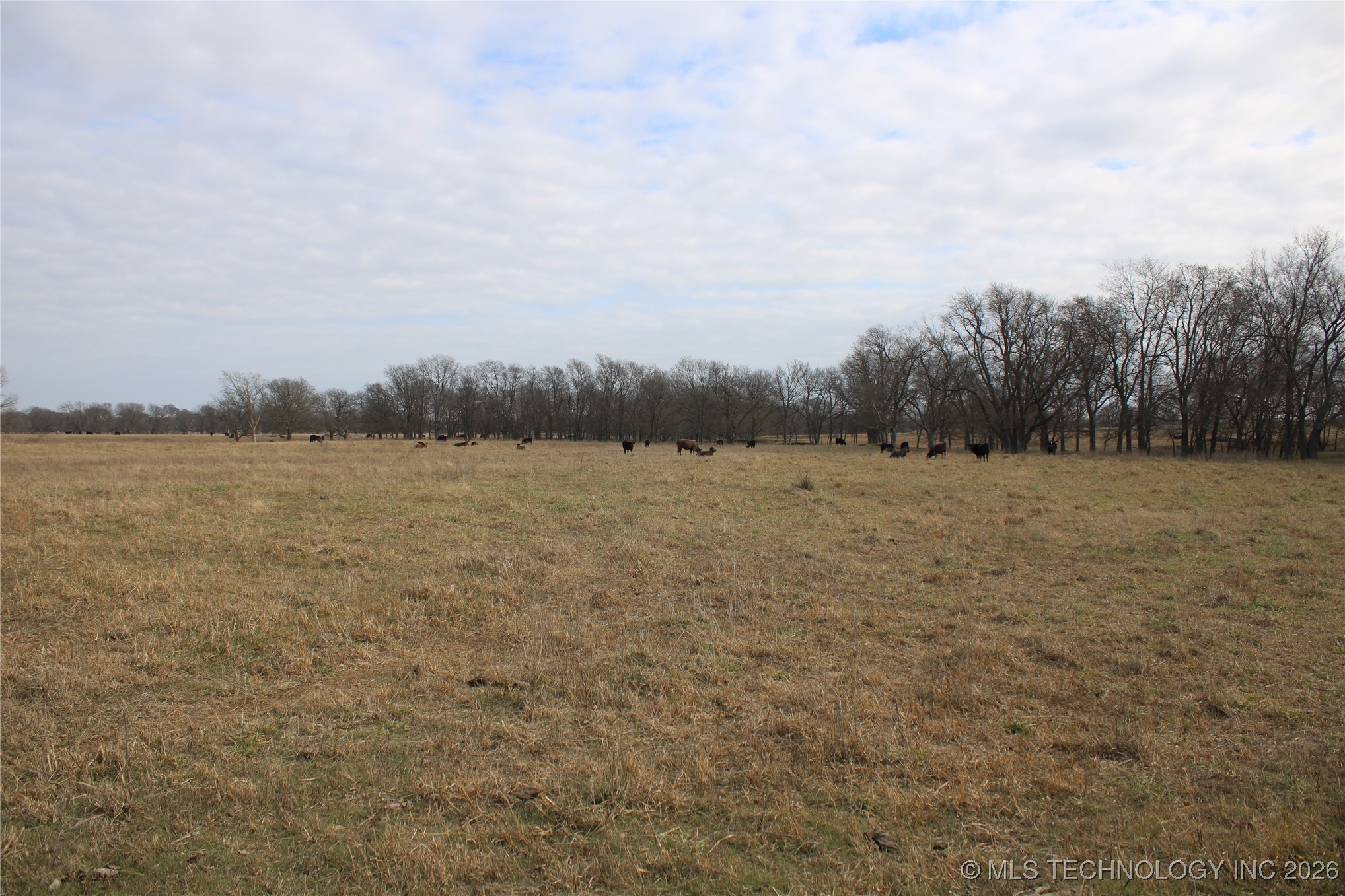 0000 Ew 270 Road Property Photo 24