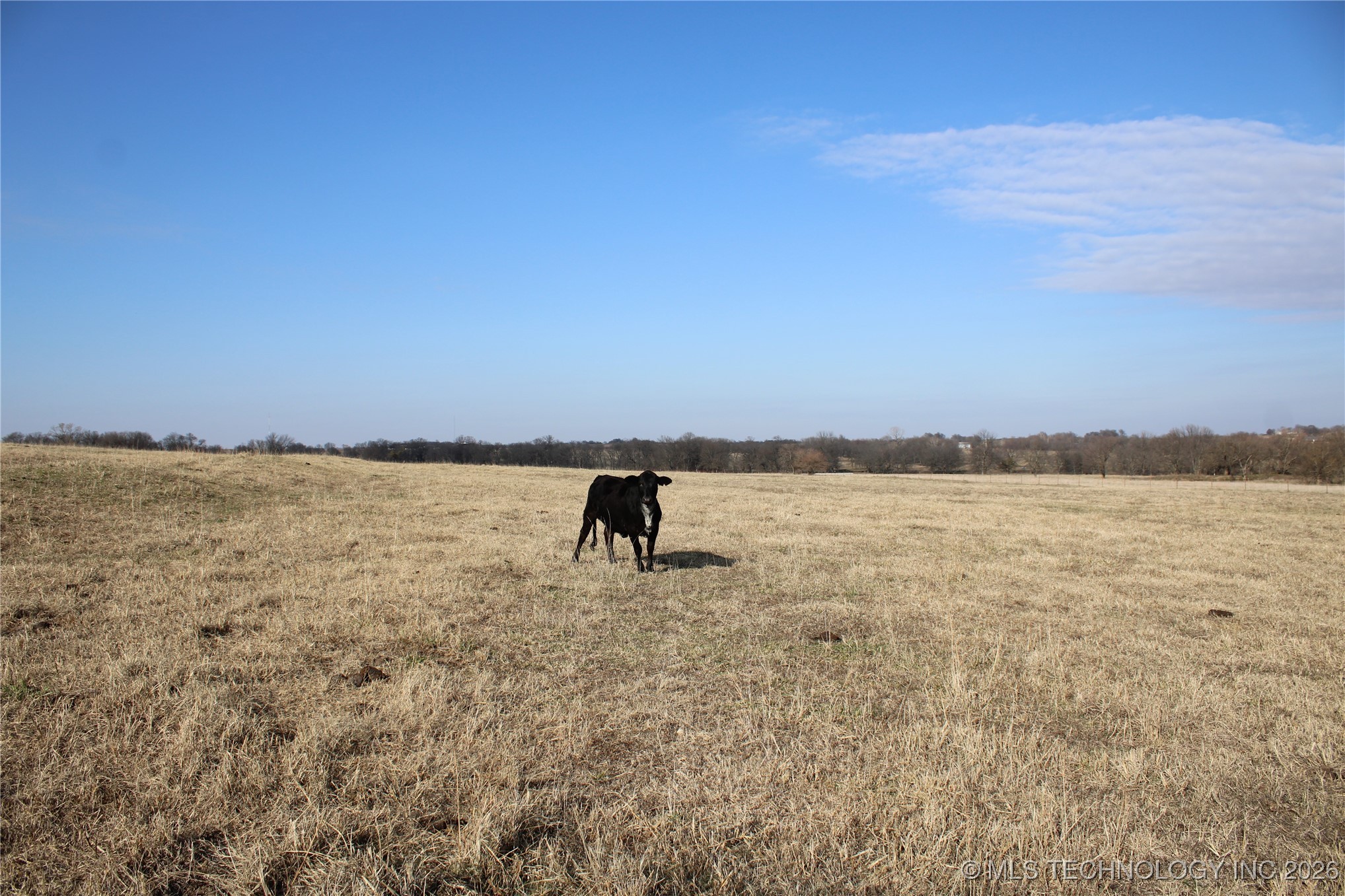 0000 Ew 270 Road Property Photo 51